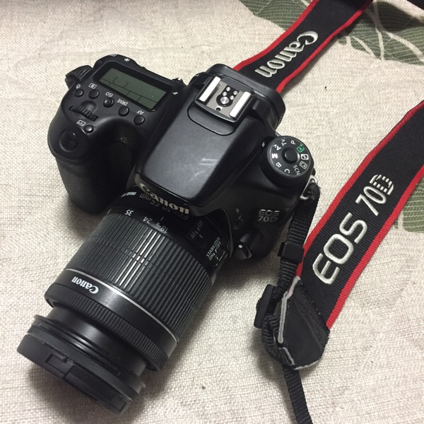 Nikon - ❤️相棒と出掛けよう❤️ Nikon D70 レンズキット♪の+spbgp44.ru